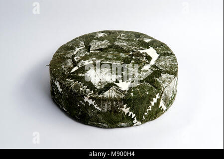 Cornish Yarg cheese wrapped in nettles Stock Photo