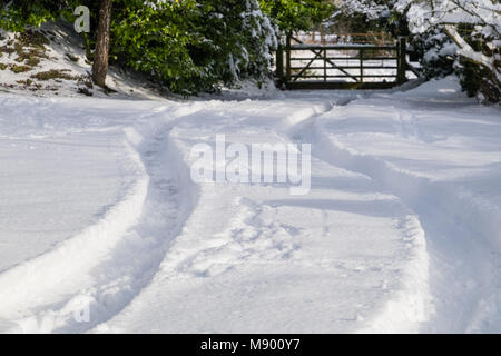 Car tracks in snow leading to gate Stock Photo