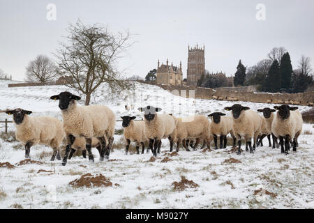 East Banqueting House of Old Campden House and St James' church with sheep in the coneygree field in winter snow, Chipping Campden, Cotswolds Stock Photo
