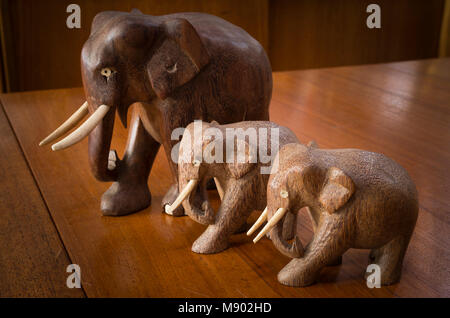 Three wooden elephants collected as souveiers from global travels Stock Photo