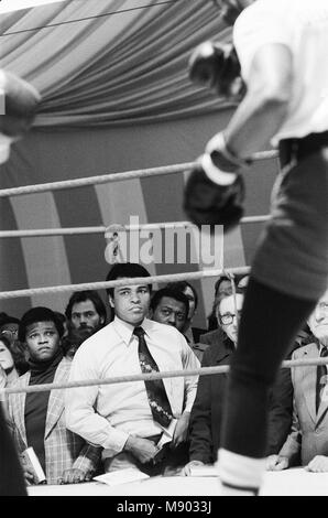 Muhammad Ali at the training camp of World Welterweight John H. Stracey in London's West End. 10th March 1976 Stock Photo
