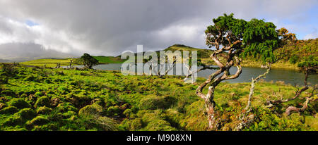 Lagoa do Capitão, Pico. Azores islands, Portugal Stock Photo