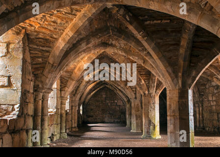 Vaulted chambers of the frater undercroft at Finchale Priory in the North East of England Stock Photo