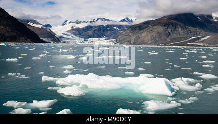 Small icebergs fill the bay in front of Aialik Glacier at Kenai Fjords National Park Alaska Stock Photo