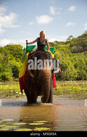 A woman (MR) on a Sri Lankan elephant, a subspecies of the Asian elephant, Elephas maximus. In a pond near Sigiriya, an ancient palace located in the 