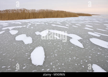 Frozen Lake Neusiedlersee with reed in dull and cold winter weather. Snowy areas forming regular structures and patterns on the ice surface. Stock Photo
