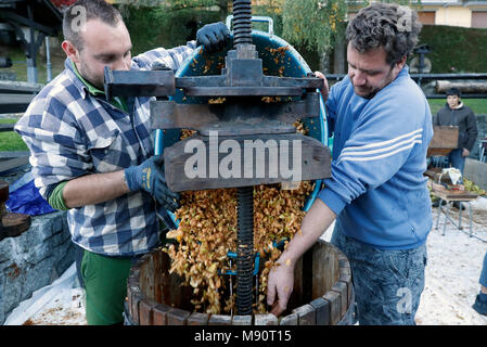 Apple juice. Stock Photo