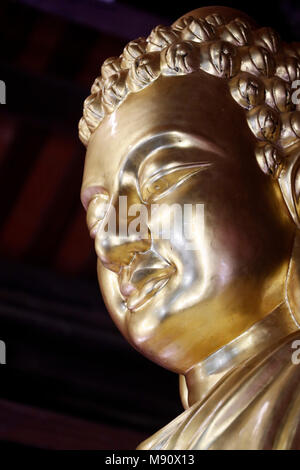 Chua Ho Quoc pagoda.  Golden Shakyamuni Buddha statue. Phu Quoc. Vietnam. Stock Photo