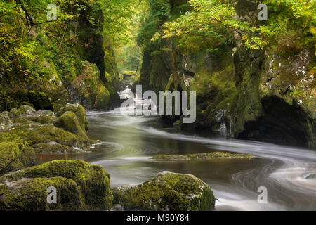 The mystical Fairy Glen near Betws y Coed in Snowdonia National Park, North Wales. Autumn (September) 2017. Stock Photo