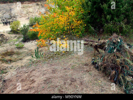 Camouflage Hunter or soldier aiming hiding in bushes in camouflage autumn  background. Sniper with rifle. Stock Photo