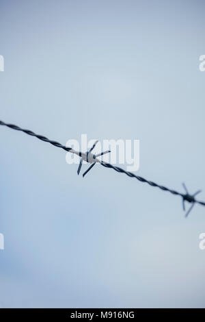 Barb wire on blue sky background. Stock Photo