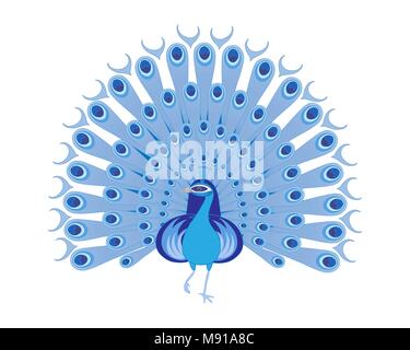 a vector illustration in eps format of a beautiful peacock in shades of blue and purple on a white background Stock Vector