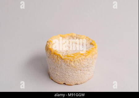 Langres is a semi soft French cheese from the Langres region Stock Photo