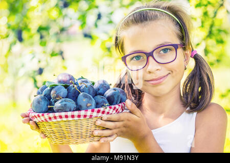 Plums. Young girl farmer holding basket with plums. Stock Photo