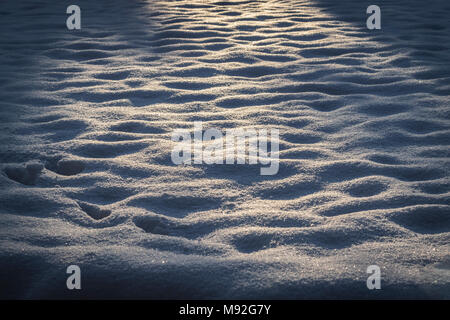Snowy morning, shadows in a garden, winter theme.  Sunrise reflections and animal footsteps on the fresh snow. Stock Photo