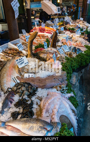 a selection of fresh fish on a fishmongers stall at borough market in central london. Fresh fish on display for sale at a shop on a counter wet fish. Stock Photo