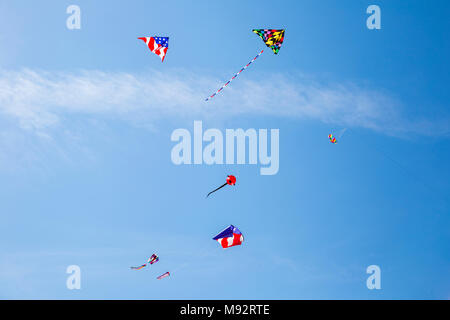 63495-02701 Kites flying at Flagler Beach Flagler Beach, FL Stock Photo