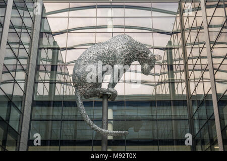 Poised - metal leopard sculpture at the new Marischal Square development, Aberdeen, Scotland, UK Stock Photo