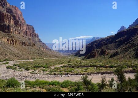 Peach Springs, AZ, USA: Picturesque Diamond Creek Road, in Peach
