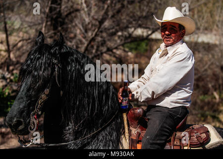 Vaquero montando su caballo, mientras ingiere una  Cerveza tecate. Imagen tipa en Imuris y la Sierra de Sonora Mexico. Stock Photo