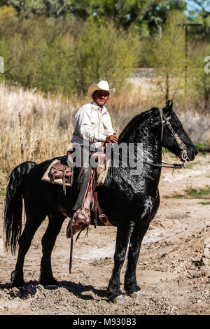 Vaquero montando su caballo. Imagen tipa en Imuris y la Sierra de Sonora Mexico. Stock Photo