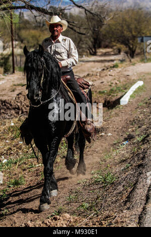 Vaquero montando su caballo. Imagen tipa en Imuris y la Sierra de Sonora Mexico. Stock Photo