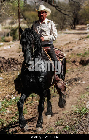 Vaquero montando su caballo. Imagen tipa en Imuris y la Sierra de Sonora Mexico. Stock Photo