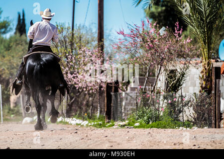 Vaquero montando su caballo. Imagen tipa en Imuris y la Sierra de Sonora Mexico. Stock Photo