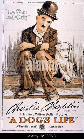 PLAQUE ALU DECO PHOTO UNE VIE DE CHIEN DOG S LIFE 1918 CHARLIE CHAPLIN 