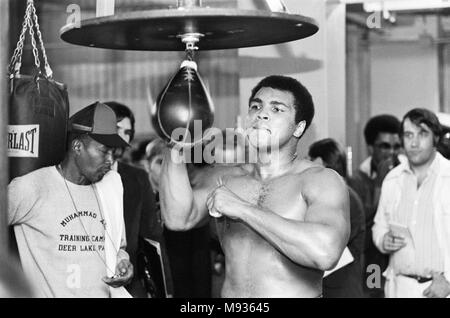 Muhammad Ali training at Gleason's Gym in New York, for his World Heavyweight Title fight with Ken Norton at the Yankee Stadium. 27th September 1976 Stock Photo