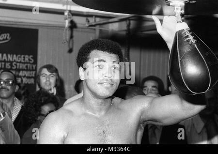 Muhammad Ali in Gleason's Gym ahead of his third fight with Ken Norton. 26th September 1976 Stock Photo