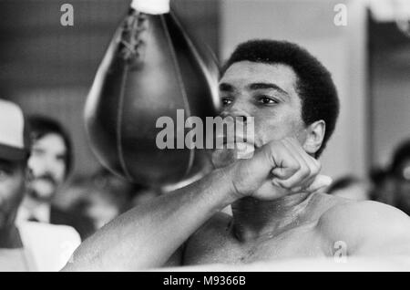 Muhammad Ali training at Gleason's Gym in New York, for his World Heavyweight Title fight with Ken Norton at the Yankee Stadium. 27th September 1976 Stock Photo