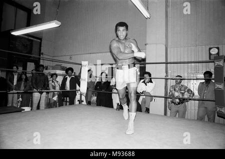 Muhammad Ali training at Gleason's Gym in New York, for his World Heavyweight Title fight with Ken Norton at the Yankee Stadium. 27th September 1976 Stock Photo