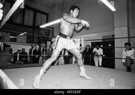 Muhammad Ali training at Gleason's Gym in New York, for his World Heavyweight Title fight with Ken Norton at the Yankee Stadium. 27th September 1976 Stock Photo