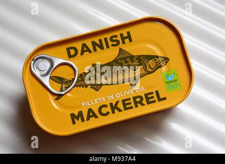 Tin of Danish Mackerel Fillets in Olive Oil. Stock Photo