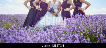 Girlfriends of the bride and bride in the field of lavender Stock Photo