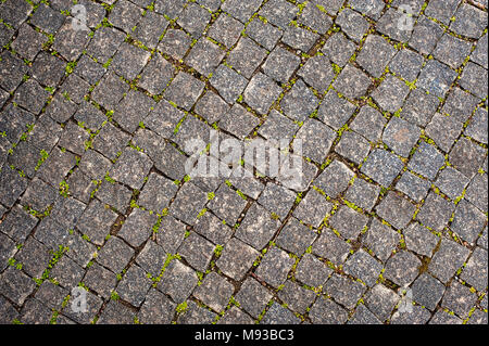 The grass grows between the paving slabs Stock Photo