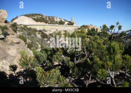 Mount Lemmon en el Desierto de Arizona EU...*  (Luis Gutierrez/NortePhoto)** Stock Photo