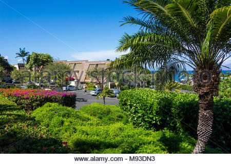 Condominium apartment resort rentals at Kihei on the island of Maui in the state of Hawaii USA