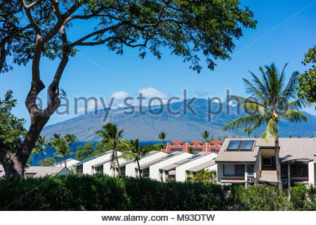 Condominium apartment resort rentals at Kihei on the island of Maui in the state of Hawaii USA