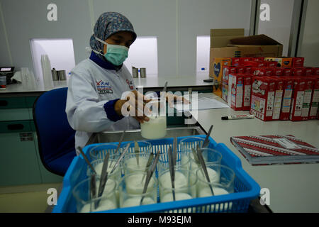 Klaten, Indonesia. 20th Mar, 2018. A worker inspects milk in Sensory room at milk processing plant owned by PT Sarihusada Generasi Mahardhika, a subsidiary of Danone Group at Kemudo, Klaten, Indonesia. It is one of the biggest Danone factory in Asia that produce growing up formula milk for children, with production capacity up to 100.000 tons per years. Credit: Dadang Trimulyanto/Pacific Press/Alamy Live News Stock Photo