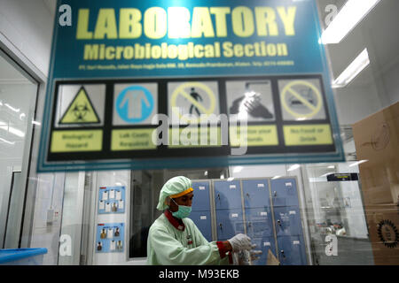 Klaten, Indonesia. 20th Mar, 2018. A worker inspects milk in laboratory at milk processing plant owned by PT Sarihusada Generasi Mahardhika, a subsidiary of Danone Group at Kemudo, Klaten, Indonesia. It is one of the biggest Danone factory in Asia that produce growing up formula milk for children, with production capacity up to 100.000 tons per years. Credit: Dadang Trimulyanto/Pacific Press/Alamy Live News Stock Photo