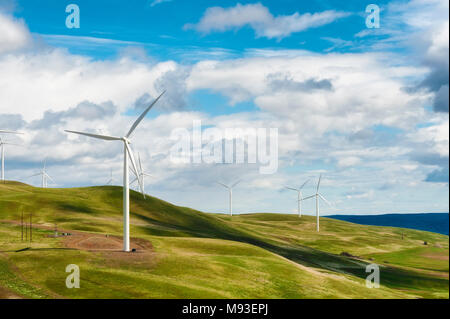 Windturbines stand tall and stark against the high desert landscape of rolling hills in the Columbia River Gorge Stock Photo