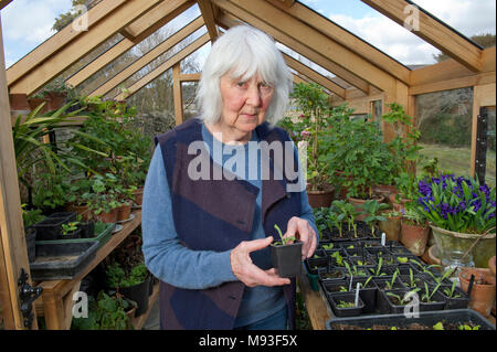 Gardener Mary Keen in her new garden in Marshfield Stock Photo - Alamy