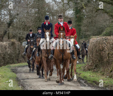 huntsman foxhunting in uk Stock Photo