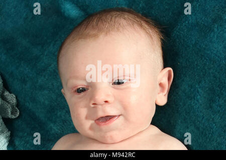 10 week old baby boy Stock Photo