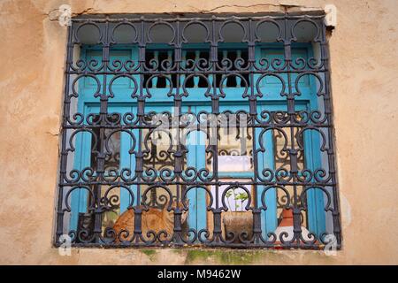 A ginger cat sits on a window sill behind a decorative metal scrollwork screen in the Andalusian Garden in Rabat, Morocco Stock Photo