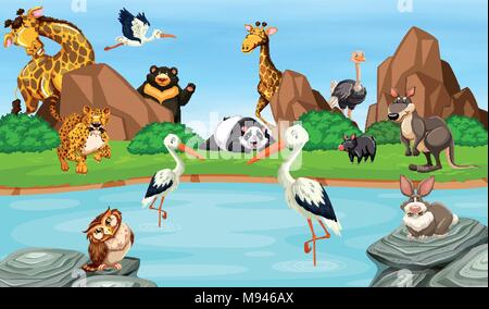 Many wild animals by the pond illustration Stock Vector