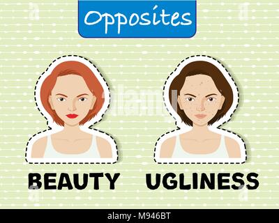 Opposite words for beauty and ugliness illustration Stock Vector