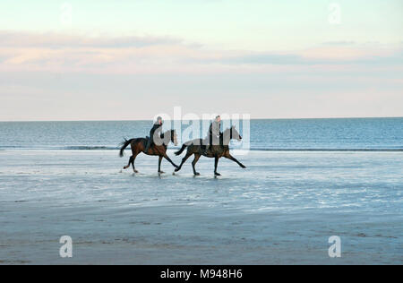 a couple riding horses along the west sands of St andrews in Fife, Scotland Stock Photo
